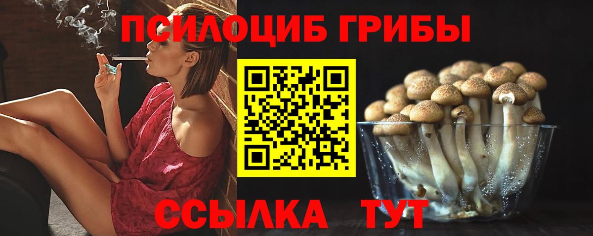 Галлюциногенные грибы прущие грибы  Вход с VPN  Бахчисарай 